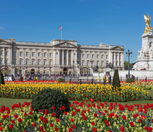 TOP 5 nejdražších domovů na světě