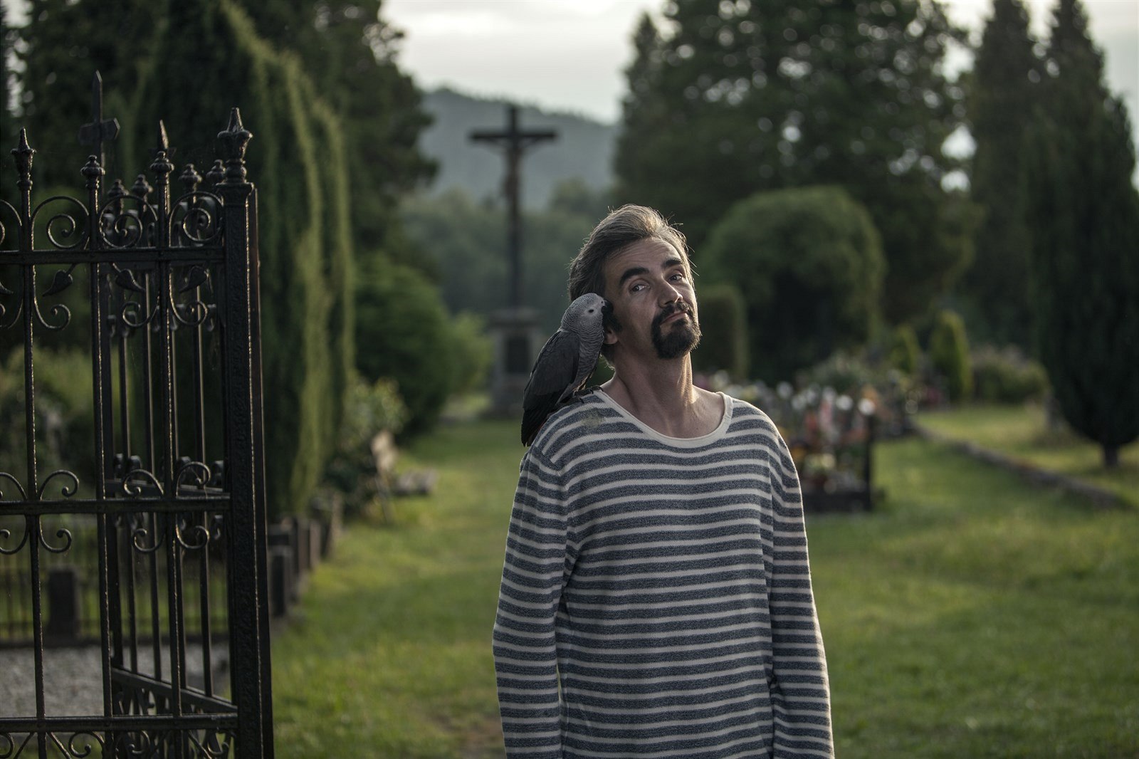 Nový český film Ztraceni v Mnichově