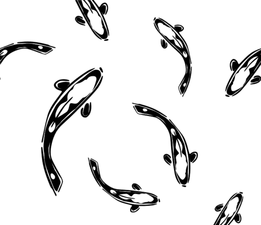 Kdyby ryby chodily a lidé mlčeli