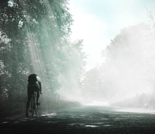 Třeboňsko – ráj pro cyklisty