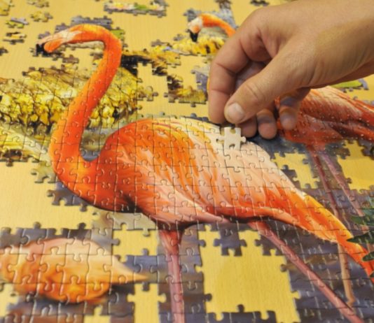 Puzzle jako trenéři naší paměti a koncentrace