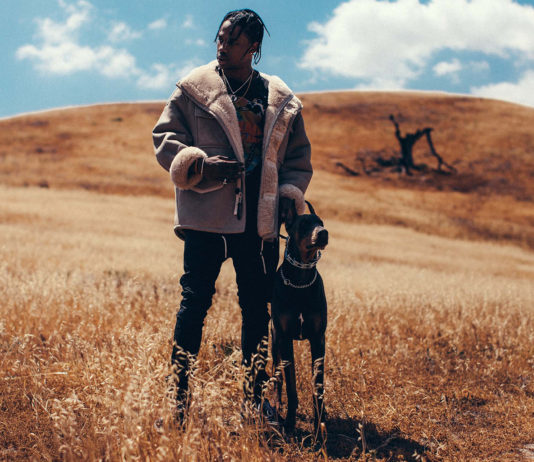 TOP 10 SKLADEB : Travis Scott