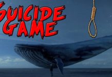 Děsivá internetová hra „Modrá velryba“ má svého tvůrce