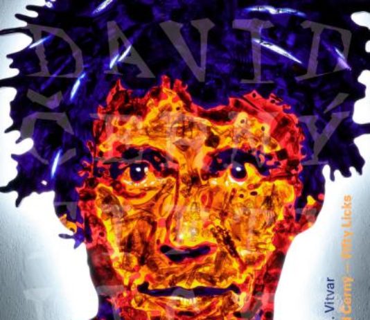 David Černý slaví jubileum, ke kterému si předčasně nadělil knihu