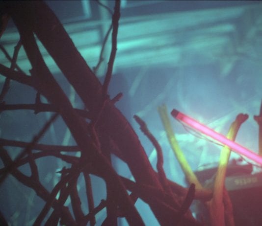 Harmony rec. v pátek připomene svoje začátky