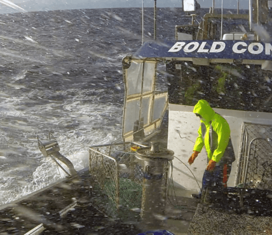 Australští lovci humrů