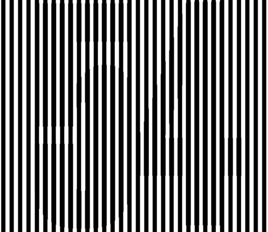 KVIFF tips aneb Survival Guide pro 54. ročník festivalu festival