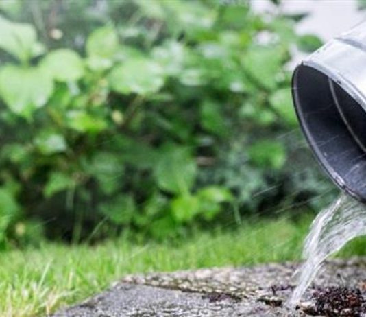 Získejte dotaci na sběr dešťové vody s Dešťovkou