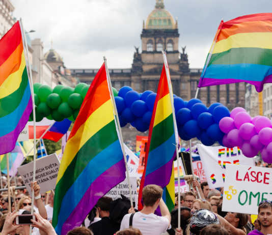 Československá pedofilní komunita aneb Jak se pedofilové dostali na Pride