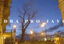 Hudba pro javor. Na Anenském trojuhelníku proběhne happening s kulturním programem