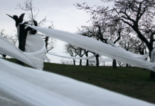 Trvalost versus dočasnost. Pražskou Třešňovku zdobí landartová instalace Landartová instalace v sadě Třešňovka