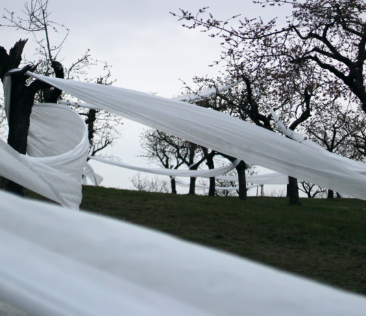 Trvalost versus dočasnost. Pražskou Třešňovku zdobí landartová instalace Landartová instalace v sadě Třešňovka