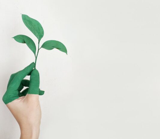 Jak šetřit planetu i své peníze zároveň? Tepelná čerpadla vám v tom pomůžou