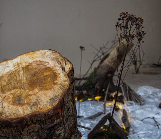 Začínají POKOJE 2021. Site-specific přehlídka probudí nárožní dům na náměstí Republiky